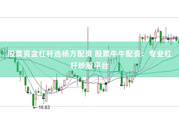 股票资金杠杆选杨方配资 股票牛牛配资：专业杠杆炒股平台