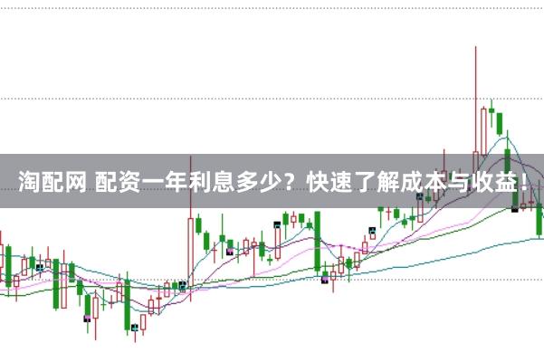 淘配网 配资一年利息多少？快速了解成本与收益！