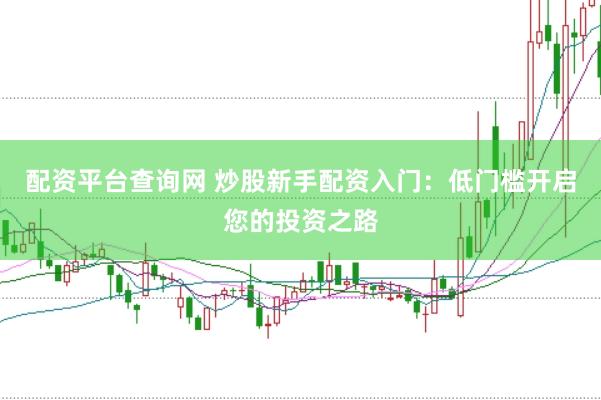 配资平台查询网 炒股新手配资入门：低门槛开启您的投资之路