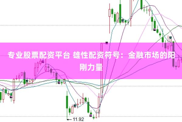 专业股票配资平台 雄性配资符号：金融市场的阳刚力量