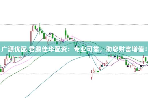 广源优配 君鹏佳华配资：专业可靠，助您财富增值！