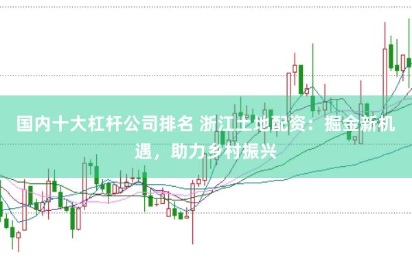 国内十大杠杆公司排名 浙江土地配资：掘金新机遇，助力乡村振兴