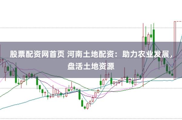 股票配资网首页 河南土地配资：助力农业发展，盘活土地资源