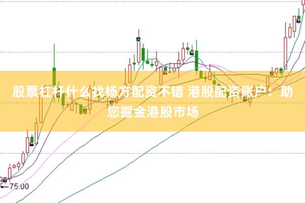 股票杠杆什么找杨方配资不错 港股配资账户：助您掘金港股市场