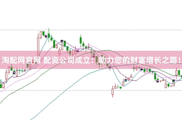 淘配网官网 配资公司成立：助力您的财富增长之路！