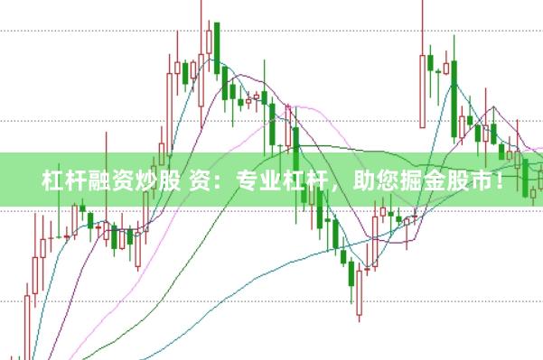 杠杆融资炒股 资：专业杠杆，助您掘金股市！