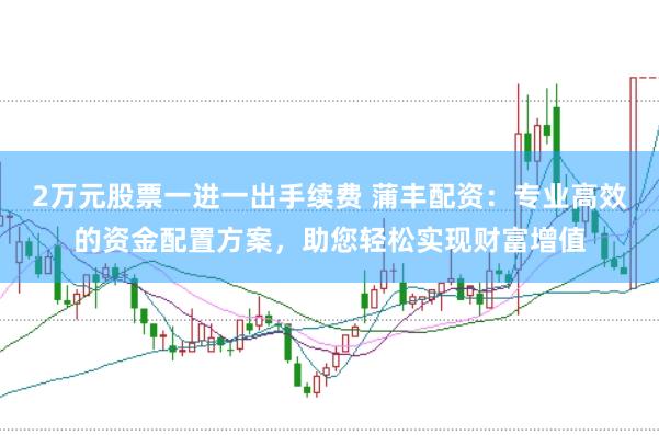 2万元股票一进一出手续费 蒲丰配资：专业高效的资金配置方案，助您轻松实现财富增值
