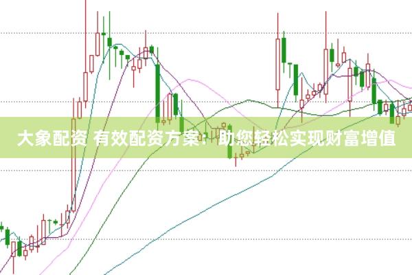 大象配资 有效配资方案：助您轻松实现财富增值
