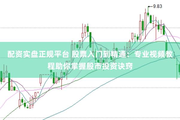 配资实盘正规平台 股票入门到精通：专业视频教程助你掌握股市投资诀窍