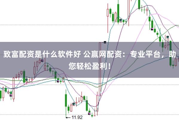致富配资是什么软件好 公赢网配资：专业平台，助您轻松盈利！