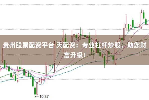 贵州股票配资平台 天配资：专业杠杆炒股，助您财富升级！