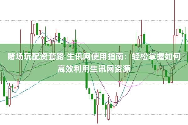 赌场玩配资套路 生讯网使用指南：轻松掌握如何高效利用生讯网资源