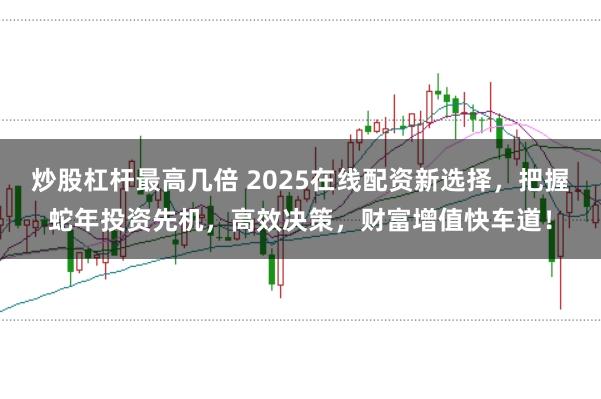 炒股杠杆最高几倍 2025在线配资新选择，把握蛇年投资先机，高效决策，财富增值快车道！