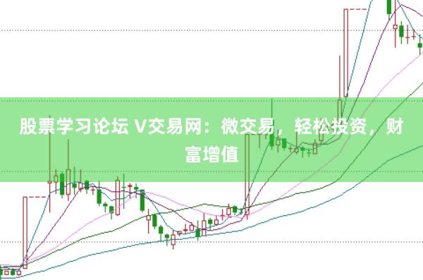 股票学习论坛 V交易网：微交易，轻松投资，财富增值