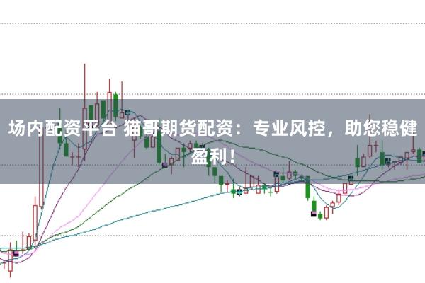 场内配资平台 猫哥期货配资：专业风控，助您稳健盈利！