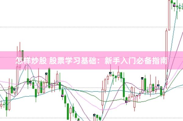 怎样炒股 股票学习基础：新手入门必备指南