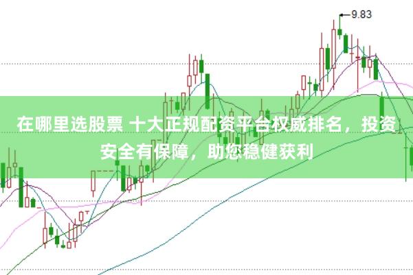 在哪里选股票 十大正规配资平台权威排名，投资安全有保障，助您稳健获利