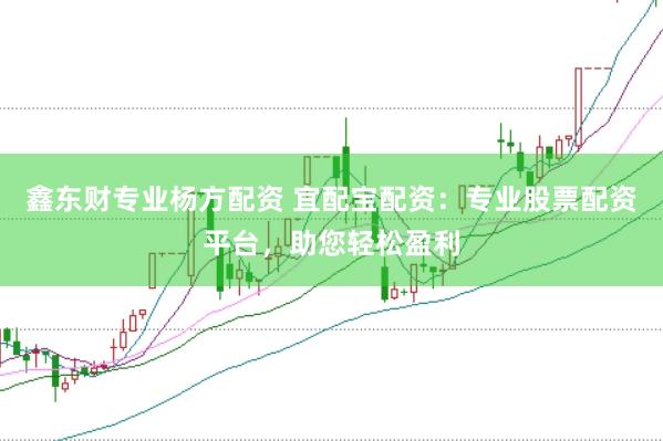 鑫东财专业杨方配资 宜配宝配资：专业股票配资平台，助您轻松盈利