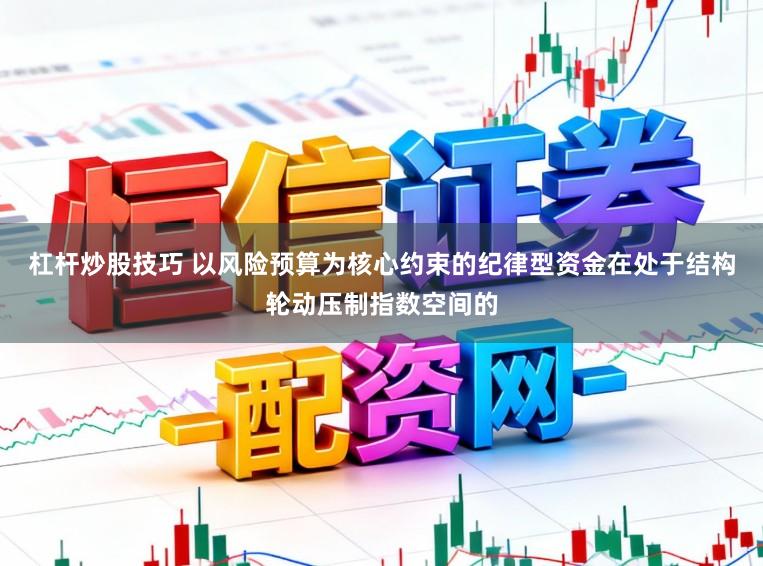 杠杆炒股技巧 以风险预算为核心约束的纪律型资金在处于结构轮动压制指数空间的